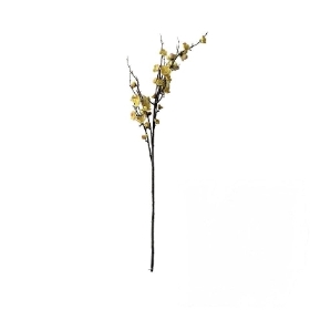 Yellow Plum Blossom 95cm