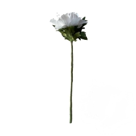 White Anemone 45cm