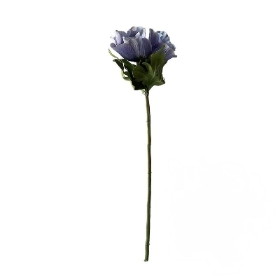 Dusky Lilac Anemone 45cm