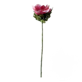 Pink Anemone 45cm