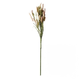 Pink Setaria Grass 70cm
