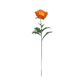 Orange Poppy 71cm