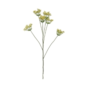 Yellow Fennel 98cm