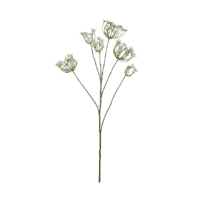 White Fennel 98cm