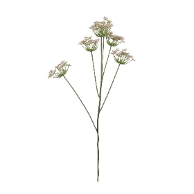 Pink Fennel 98cm