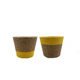 Yellow Rope Planter 14cm