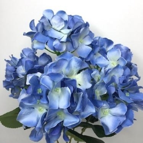 Blue Hydrangea Bush 48cm