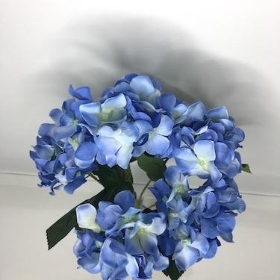 Blue Hydrangea Bush 48cm