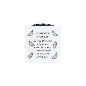 Someone Special Feather Pot 15cm