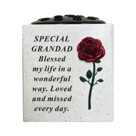 Grandad Red Rose Pot 13cm