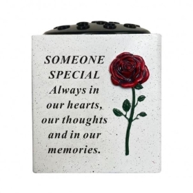 Someone Special Red Rose Pot 13cm