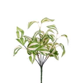 White & Green Tradescantia Bunch 32cm