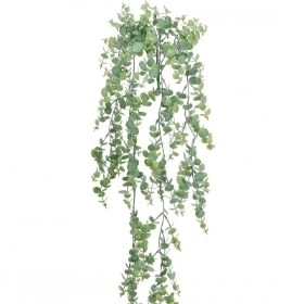 Light Green Trailing Gunni Eucalyptus 90cm