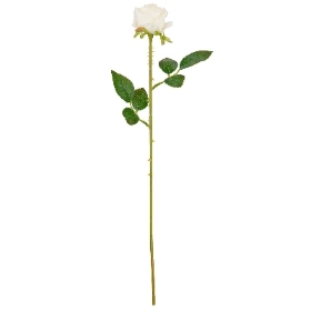 White Gabriella Rose 53cm