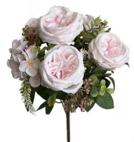 Blush Garden Rose Bush 37cm