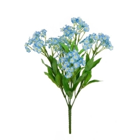 Forget Me Not Bush 27cm
