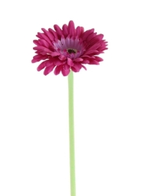 Hot Pink Gerbera 56cm