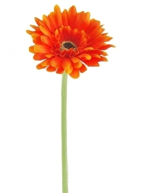 Orange Gerbera 56cm