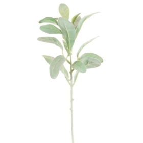 Green Lambs Ear Stem 37cm