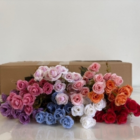 48 x Mini Spray Rose Bush 30cm