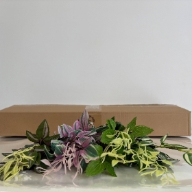 48 x Assorted Foliage Bush 30cm
