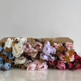 48 x Cottage Peony Bush 30cm