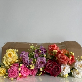 48 x Cottage Rose Bush 30cm