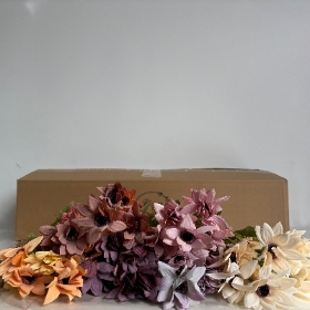 48 x Garden Daisy Bush 30cm