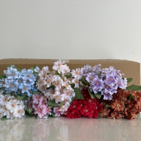 48 x Forget Me Not Bush 30cm