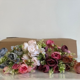 48 x Dainty Mixed Peony Bush 30cm
