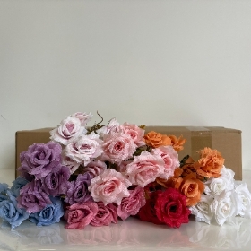 48 x Open Small Rose Bush 30cm