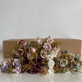 48 x Miniature Rose Bush 30cm