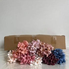 48 x Daisy Bush 30cm