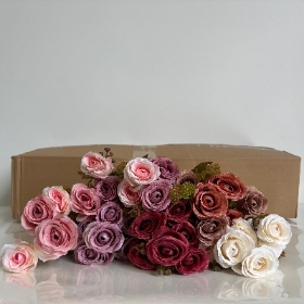 48 x Daisy & Rose Bush 30cm