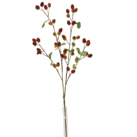 Red Raspberry 91cm