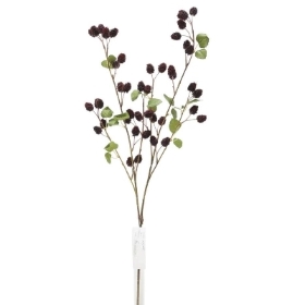 Dark Red Raspberry 91cm