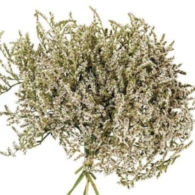 Dried Statice 100g