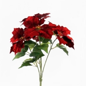 Red Velvet Point Bush 55cm