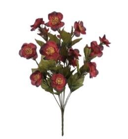 Red Autumn Quince Bush 46cm