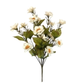 White Autumn Quince Bush 46cm