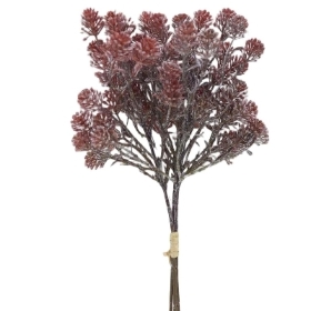 Brown Sedum Bundle 38cm
