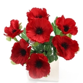 Red Anemone Bush 28cm