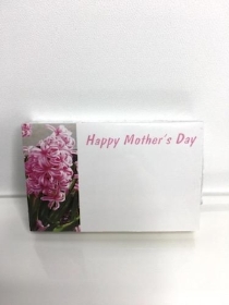 Small Florist Cards Mothers Day Pink Hyacinth