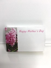 Mothers Day Pink Hyacinth Small Florist Cards