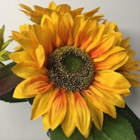 Sunflower Bush 40cm