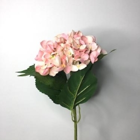 Hydrangea Pink 60cm