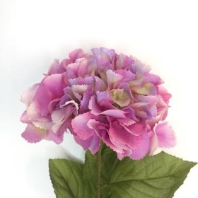 Hazy Days Pink Hydrangea 72cm