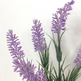 Lilac Lavender Bush 32cm