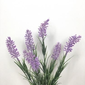 Lilac Lavender Bush 32cm