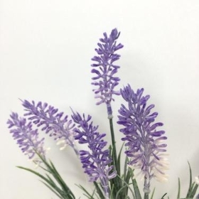 White And Lilac Lavender Bush 32cm